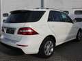 Mercedes-Benz ML 350 ML 350 CDI AMG-Line Blanc - thumbnail 14