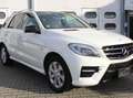 Mercedes-Benz ML 350 ML 350 CDI AMG-Line Blanc - thumbnail 4