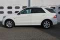 Mercedes-Benz ML 350 ML 350 CDI AMG-Line Blanc - thumbnail 15