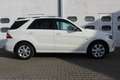Mercedes-Benz ML 350 ML 350 CDI AMG-Line Blanc - thumbnail 5