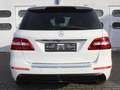 Mercedes-Benz ML 350 ML 350 CDI AMG-Line Blanc - thumbnail 6