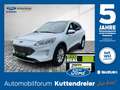 Ford Kuga 2.5 Duratec PHEV Titanium Navi+Pano+SD+SHZ Blanc - thumbnail 1