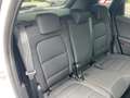 Ford Kuga 2.5 Duratec PHEV Titanium Navi+Pano+SD+SHZ Blanc - thumbnail 14