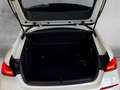 BMW 118 i ADVANTAGE LC PROF NAVI PDC LED DAB WLAN Weiß - thumbnail 15