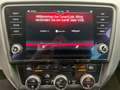 Skoda Octavia Style 4x4, virtual Cockpit, LED- MATRIX, AHK + RFK Grau - thumbnail 42