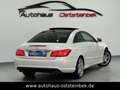 Mercedes-Benz E 350 CDI/AMG-LINE/BiXEN/NAVI/PANORAMA/MEMORY/F1 Blanc - thumbnail 5