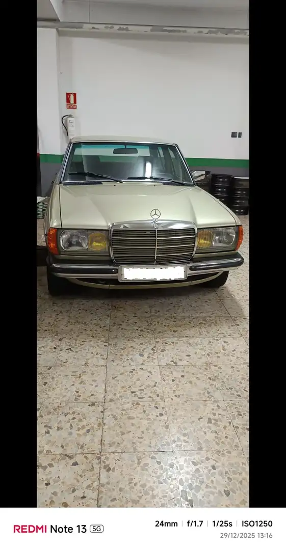 Mercedes-Benz 230 Verde - 2