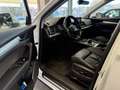 Audi Q5 Q5 40 2.0 tdi quattro 190cv s-tronic Weiß - thumbnail 10