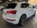 Audi Q5 Q5 40 2.0 tdi quattro 190cv s-tronic Weiß - thumbnail 4