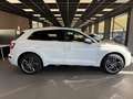 Audi Q5 Q5 40 2.0 tdi quattro 190cv s-tronic Weiß - thumbnail 5