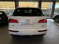 Audi Q5 Q5 40 2.0 tdi quattro 190cv s-tronic Weiß - thumbnail 3