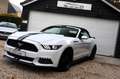 Ford Mustang Convertible 3.7 V6-Carplay-Camera-Cruise Blanc - thumbnail 2