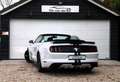 Ford Mustang Convertible 3.7 V6-Carplay-Camera-Cruise Blanc - thumbnail 6