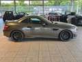 Mercedes-Benz SLK 250 AMG/55 19"Comand Fahrdynamik Pano Ambien Gris - thumbnail 9