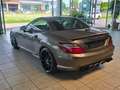 Mercedes-Benz SLK 250 AMG/55 19"Comand Fahrdynamik Pano Ambien Gris - thumbnail 8