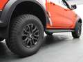 Ford Ranger Raptor Diesel/Standheiz./Raptor-P. Pomarańczowy - thumbnail 35