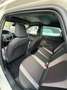SEAT Ibiza Ibiza 1,0 ECO TSI Xcellence Xcellence Weiß - thumbnail 5
