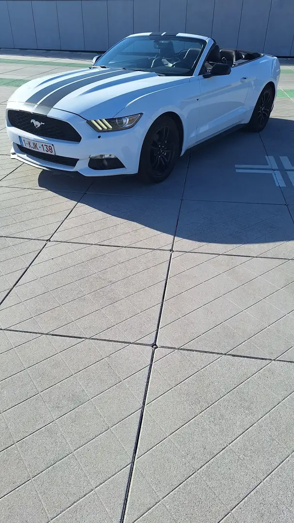 Ford Mustang Cabrio 2.3 Eco Boost - 2