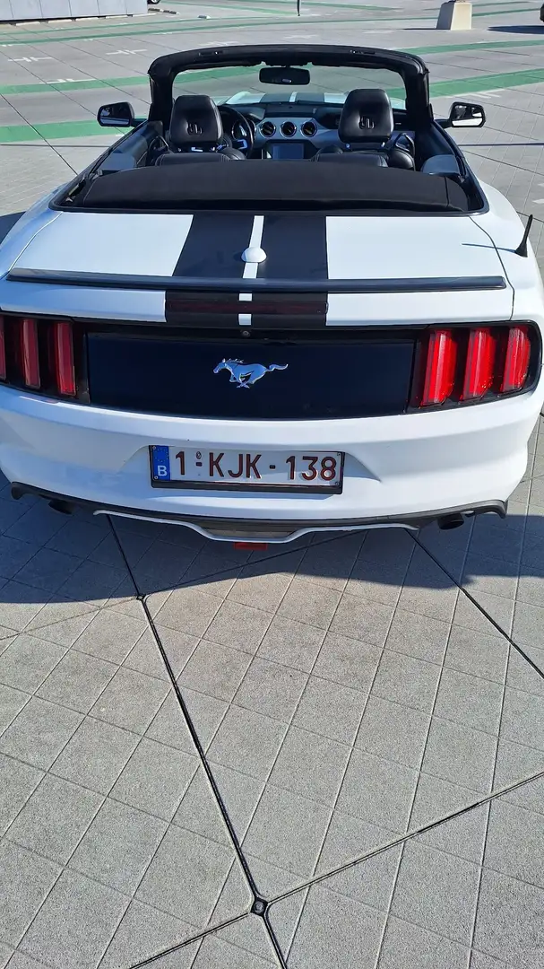Ford Mustang Cabrio 2.3 Eco Boost - 1