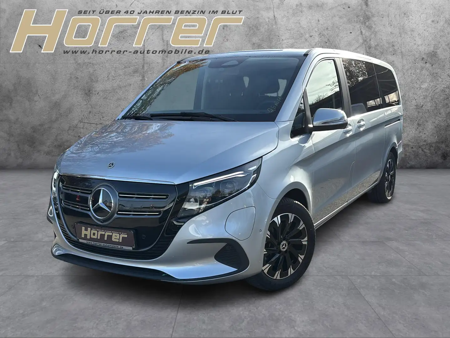 Mercedes-Benz 300 lang Distr el.Türen Heck LED AIRMATIC Argent - 1