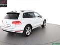 Volkswagen Touareg Touareg 3.0 TDI 4M R LINE ACC,AHK,LUFTFEDER,20Z Wit - thumbnail 5
