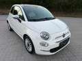 Fiat 500 DolceVita Hybrid  *ab 117€,-* Weiß - thumbnail 12