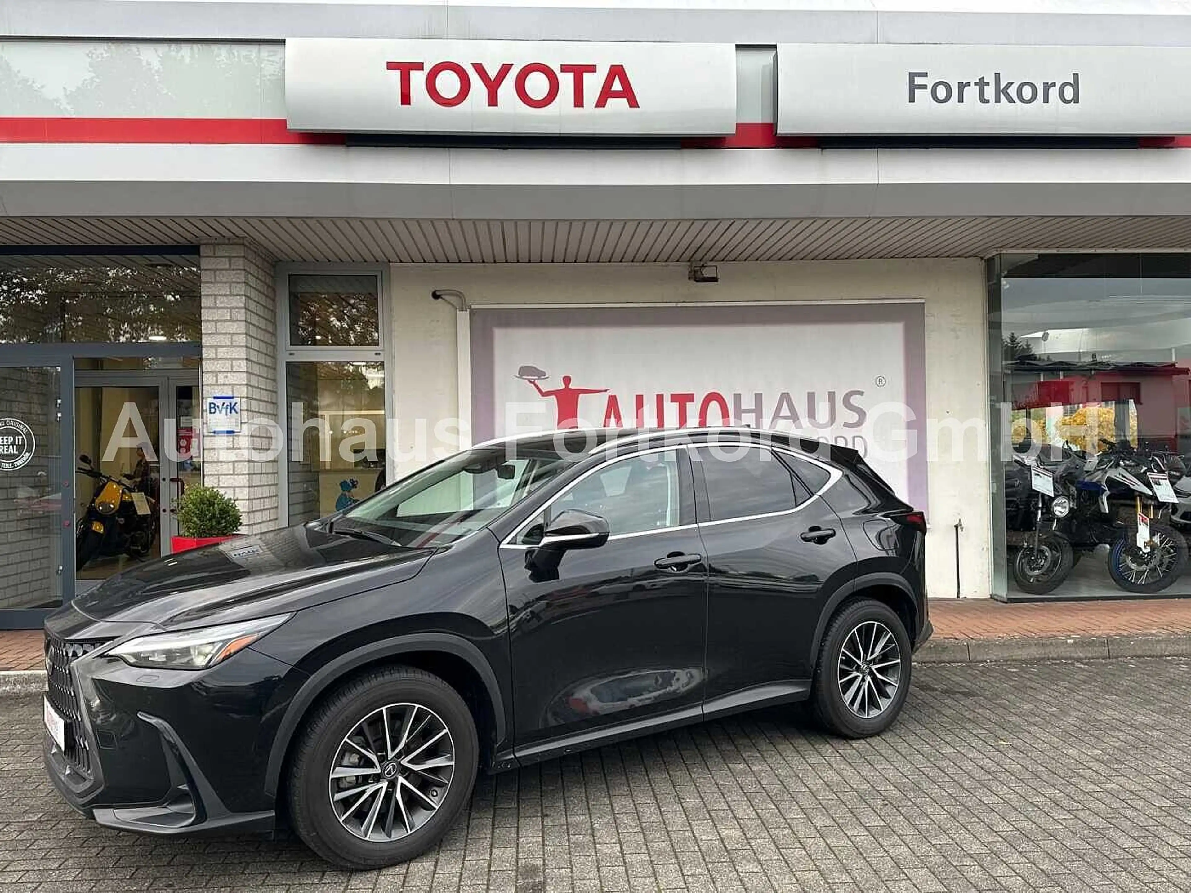 Lexus NX 350h Business - Navi, PDC, Leder, TW, SZ