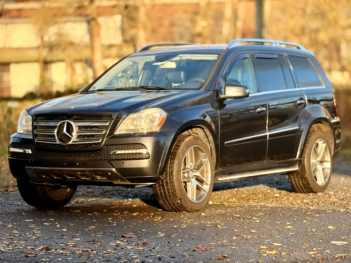 Mercedes-Benz GL 450 LPG Gas Anlage 4Matic 7G-TRONIC V8 - 2