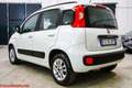 Fiat Panda 1.2 69cv E6 Lounge - Prezzo vero senza vincoli! Bianco - thumbnail 4