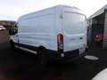 Ford Transit Kasten 350 L3 vermutlich Motorschaden Weiß - thumbnail 2