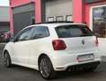 Volkswagen Polo 1.4 TSI BlueGT|DSG|Pano|Navi|ACC Weiß - thumbnail 7