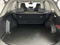 Toyota RAV 4 RAV4 2,5 Hybrid 4x4 Active Drive Weiß - thumbnail 16