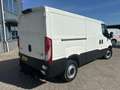 Iveco Daily 35S15V 3.0 L DIESEL 352 LONG FLAT Blanc - thumbnail 6