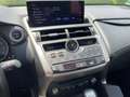 Lexus NX 300 h Executive Line Standhz*Pano*Navi Grün - thumbnail 14