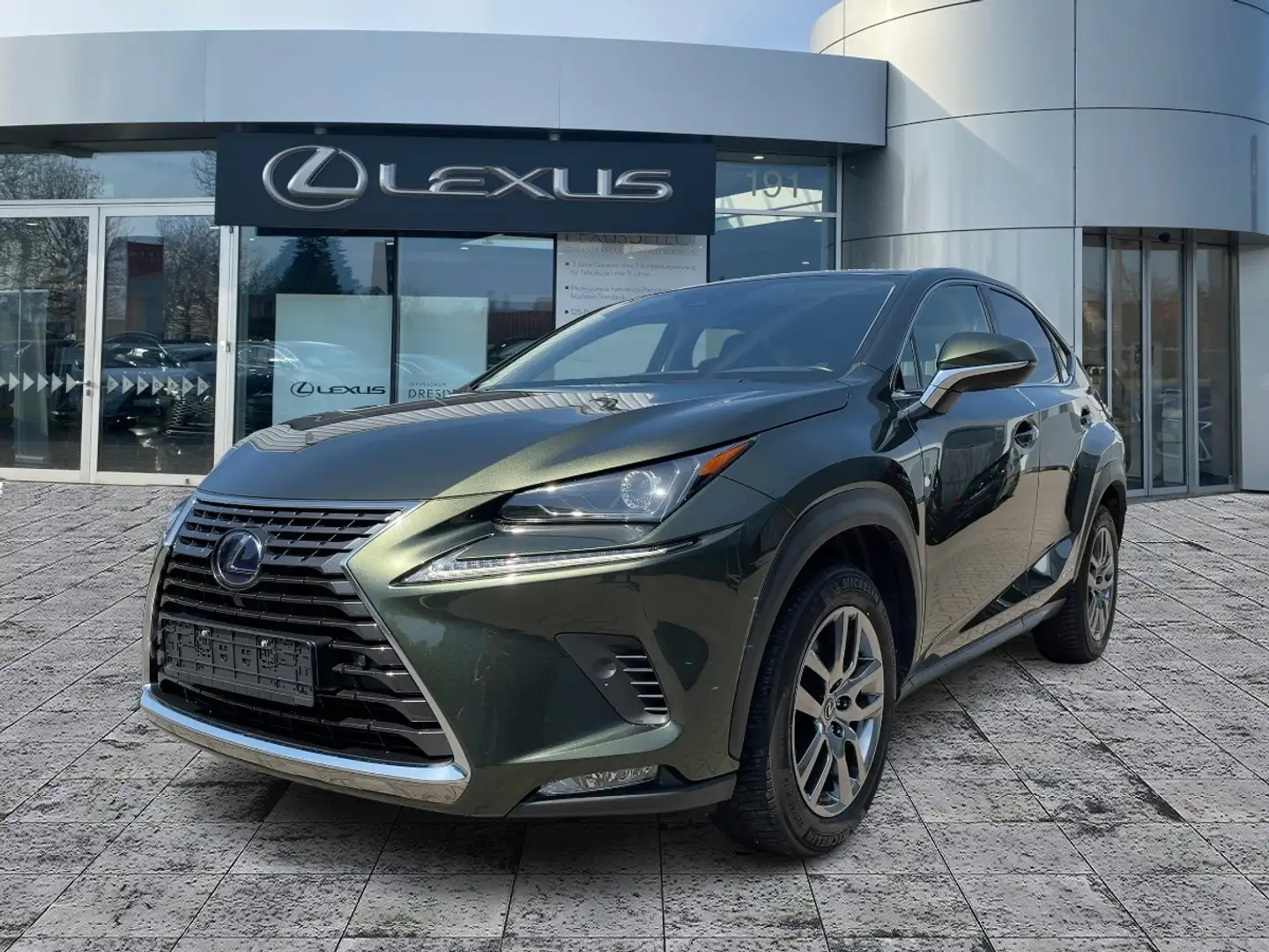 Lexus NX 300 h Executive Line Standhz*Pano*Navi Grün - 2