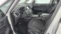 Ford Galaxy 2,0 EcoBlue SCR AWD Trend Aut. Білий - thumbnail 5