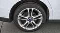 Ford Galaxy 2,0 EcoBlue SCR AWD Trend Aut. Білий - thumbnail 4