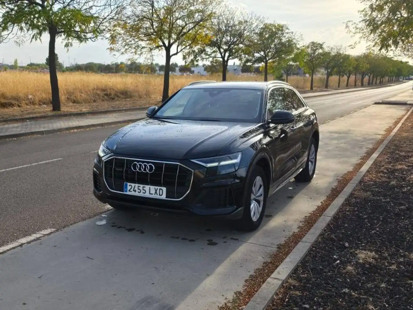 Audi Q8 Q8 45 TDI Black line plus quattro tiptronic Black line plus Negro - 2