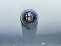 Alfa Romeo Giulia 1600 cabrio Weiß - thumbnail 9