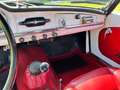 Alfa Romeo Giulia 1600 cabrio Weiß - thumbnail 3
