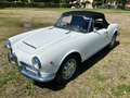 Alfa Romeo Giulia 1600 cabrio Weiß - thumbnail 1