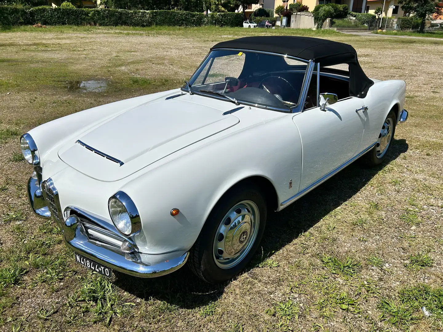 Alfa Romeo Giulia 1600 cabrio Weiß - 1