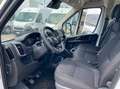 Fiat Ducato 33 MH2 2.2 mjt3 140c Blanc - thumbnail 25