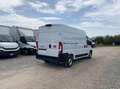 Fiat Ducato 33 MH2 2.2 mjt3 140c Blanc - thumbnail 2