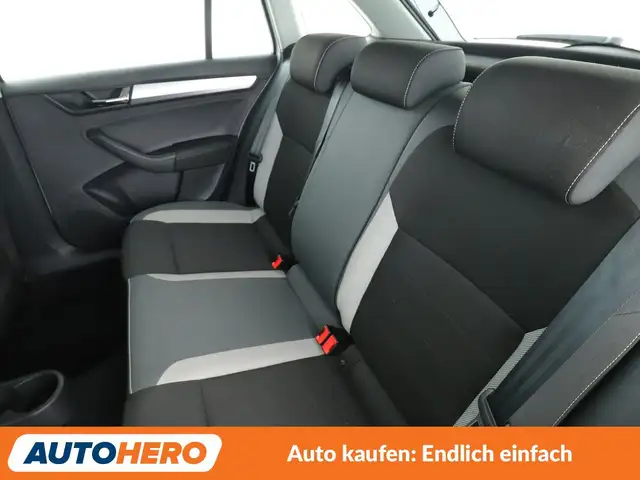 Skoda Rapid view 14