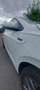 Volkswagen Polo Polo 1.0 TSI DSG OPF Highline, Panoramadach, beats Weiß - thumbnail 6