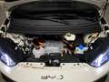 BYD Dolphin Surf Boost 175kW Blanco - thumbnail 26