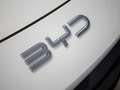 BYD Dolphin Surf Boost 175kW Blanco - thumbnail 40