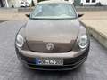Volkswagen Beetle Design Automatik Braun - thumbnail 1
