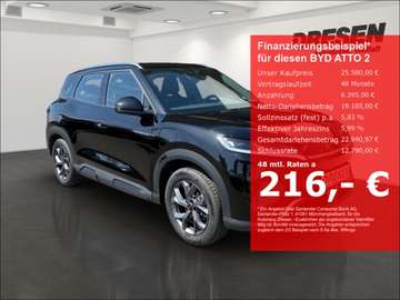 ACTIVE 45kWh Panorama/Rückfahrkamera/Navi/LED-Sche